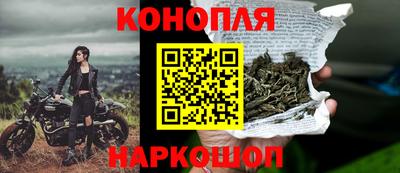 хмурый Белореченск