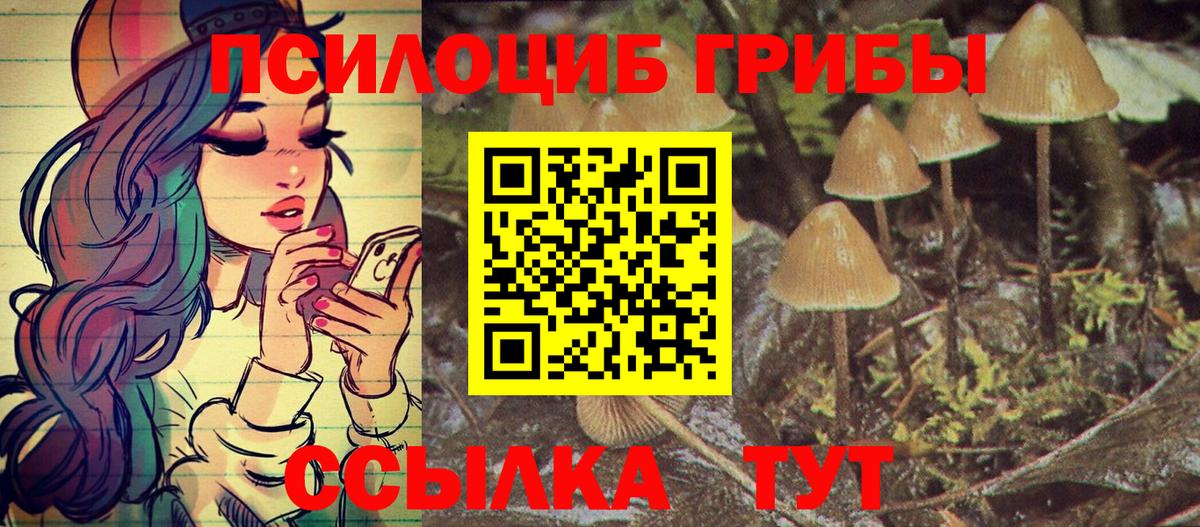 Галлюциногенные грибы мицелий  Вход с VPN  что такое наркотик  Свободный 